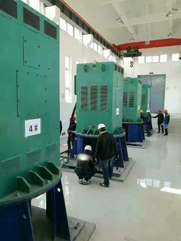 YJTGKK4002-6某污水处理厂使用我厂的立式高压电机安装现场