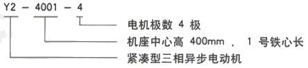 YR系列(H355-1000)高压YJTGKK4002-6三相异步电机西安西玛电机型号说明